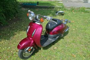 Honda shadow 50