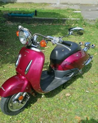 Honda shadow 50
