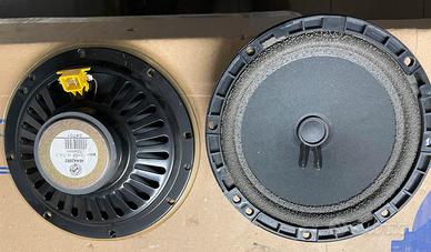 Autoparlanti da incasso