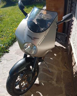 Moto Guzzi V11 Le Mans 2001