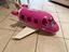 Immagine 1