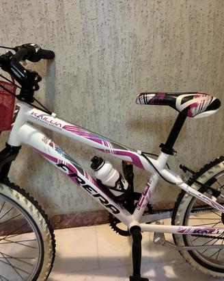Mountain bike
