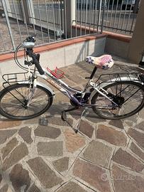 Bicicletta ruota 24