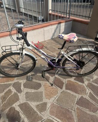 Bicicletta ruota 24