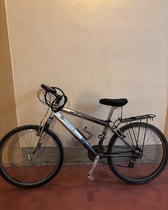 Mountain bike Negrini