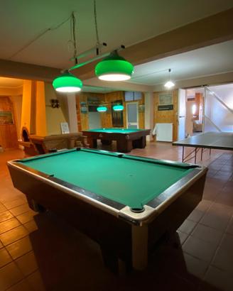 Biliardo e ping pong