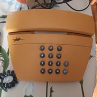 Apparecchi telefonici tipo fisso