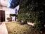Immagine 9