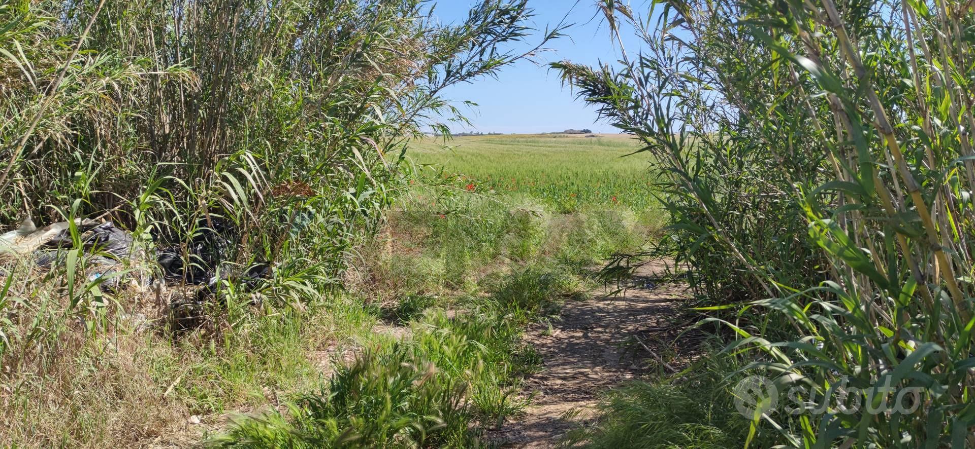 Terreno - Noto - Vista 2