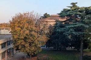 Stanza singola da ottobre in zona Isola