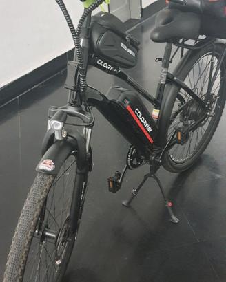 bici elettrica