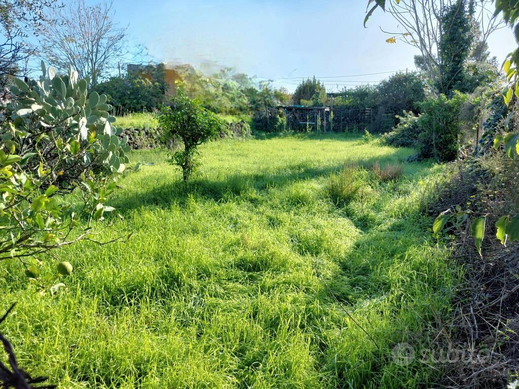 Terreno agricolo 1000 mq circa s.m. la stella - Vista 4