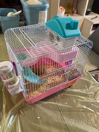 Criceto Siberiano con Gabbia