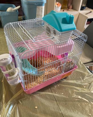 Criceto Siberiano con Gabbia