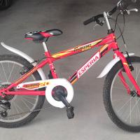 Bicicletta da bambino