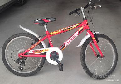 Bicicletta da bambino