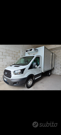 Ford transit frigo