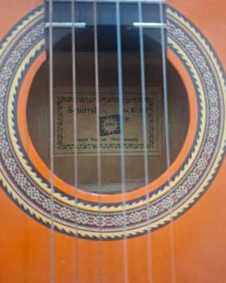 Chitarra 🎸 