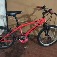 Bicicletta ragazzo