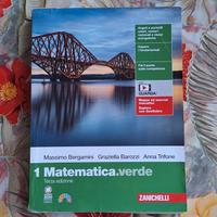 1 matematica.verde