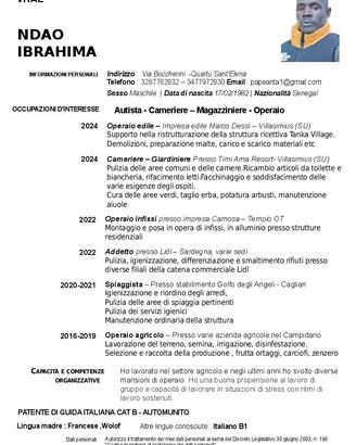 Autista, vigilanza, manovale pulizie giardniere