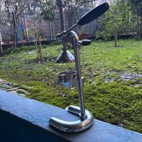 Spremiagrumi a leva professionale in acciaio croma