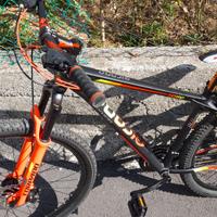 RAMPICHINO ANCORA NUOVO USATO POCHISSIMO