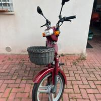 ATALA GREEN 50 COMPLETO-PERFETTO