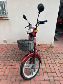 ATALA GREEN 50 COMPLETO-PERFETTO