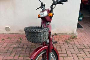 ATALA GREEN 50 COMPLETO-PERFETTO