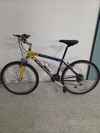 Bici Bottecchia 