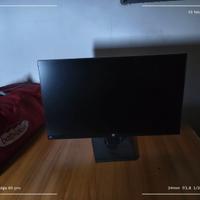 Monitor HP 24 pollici