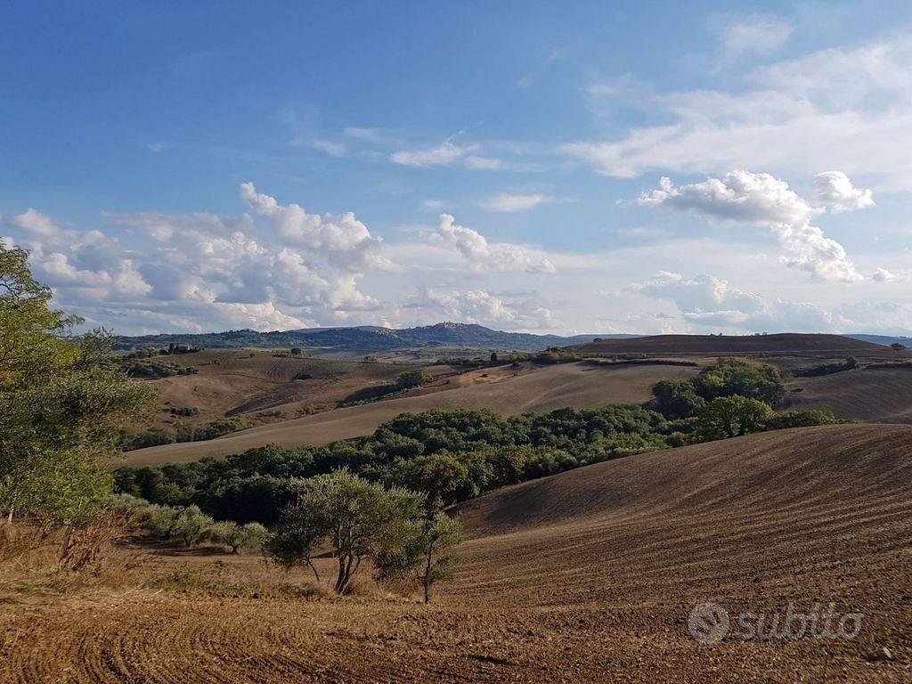 Rustico / Casale di 600 m² con box auto a Torrita - Vista 5