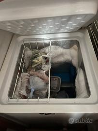 Congelatore a Pozzetto whirpool