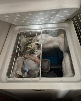 Congelatore a Pozzetto whirpool