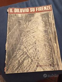 Il diluvio su Firenze