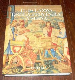 IL PALAZZO DELLA PROVINCIA A SIENA FABIO BISOGNI