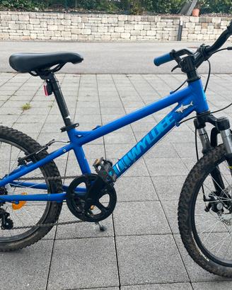 Mountain bike bambino 20”