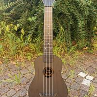 Ukulele Flight TUSL35 Long Neck