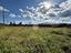 Immagine 28