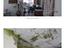 Immagine 20