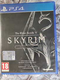 Skirym