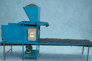 Macchina cernita mirtilli selvatici