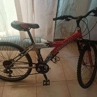 bicicletta