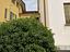 Immagine 8