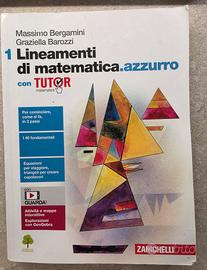 Lineamenti di matematica.azzurro vol1
