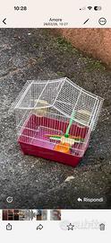 Gabbia per canarini e cocorite