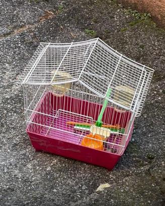 Gabbia per canarini e cocorite