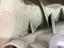 Immagine 22