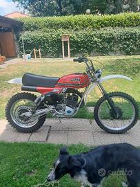 ktm 125 mc 5 targato 1976